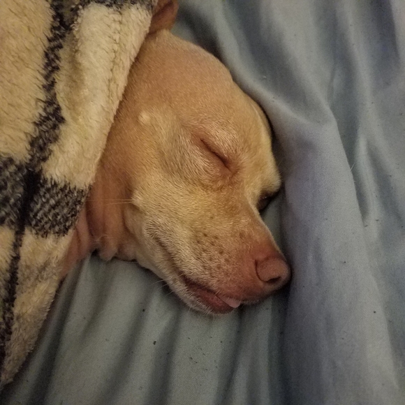 Meet your Posher, Melinda - Picture 2 of 4